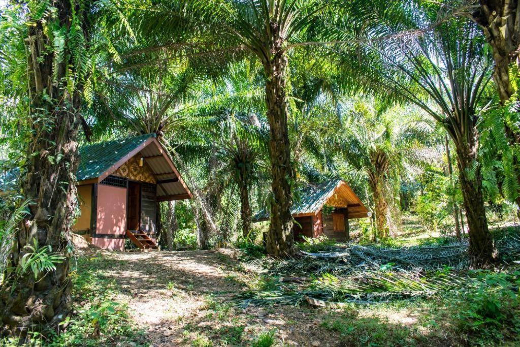Khao Sok Silver Cliff Resort Khao Sok National Park Buitenkant foto