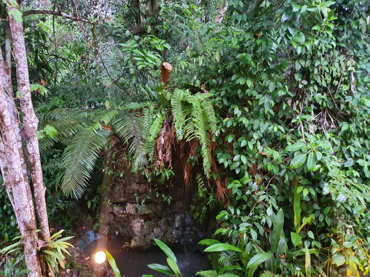 Khao Sok Silver Cliff Resort Khao Sok National Park Buitenkant foto