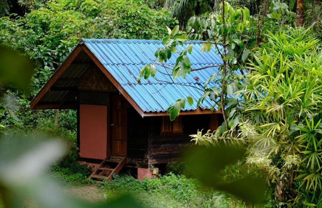 Khao Sok Silver Cliff Resort Khao Sok National Park Buitenkant foto