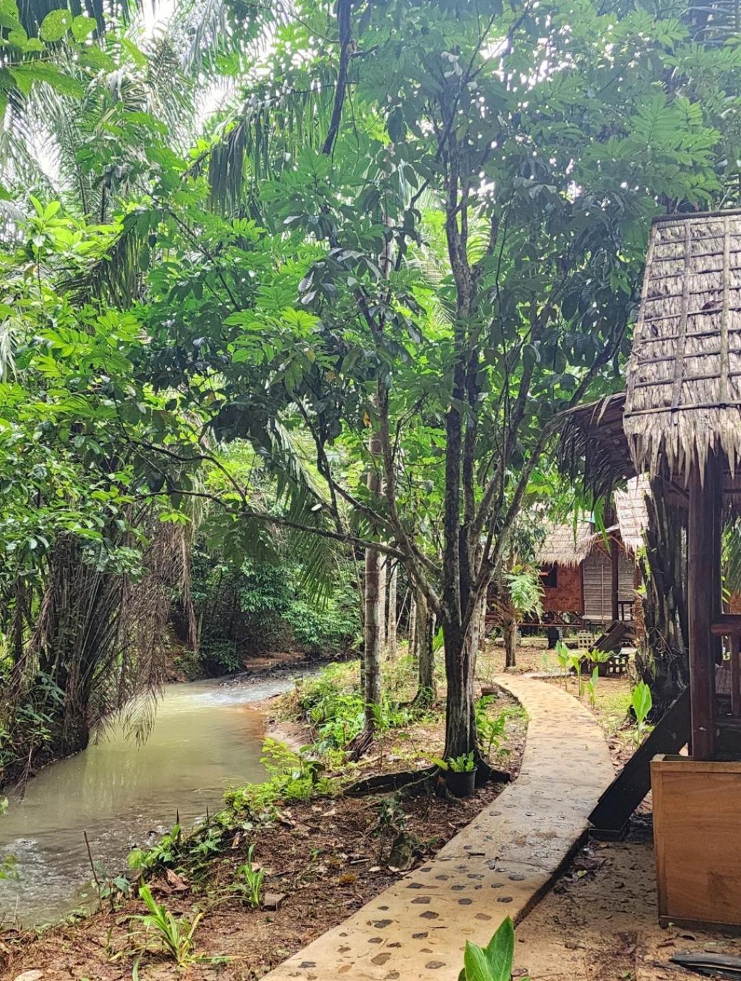 Khao Sok Silver Cliff Resort Khao Sok National Park Kamer foto