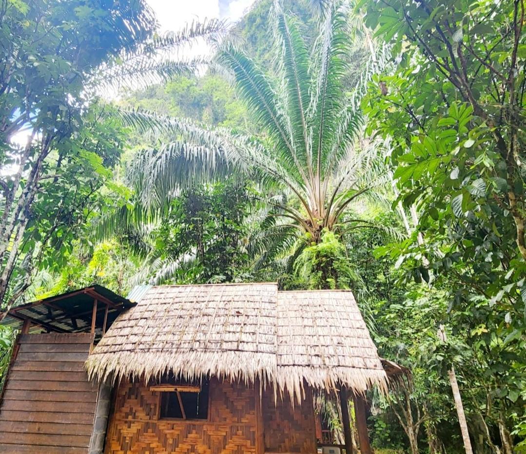 Khao Sok Silver Cliff Resort Khao Sok National Park Kamer foto