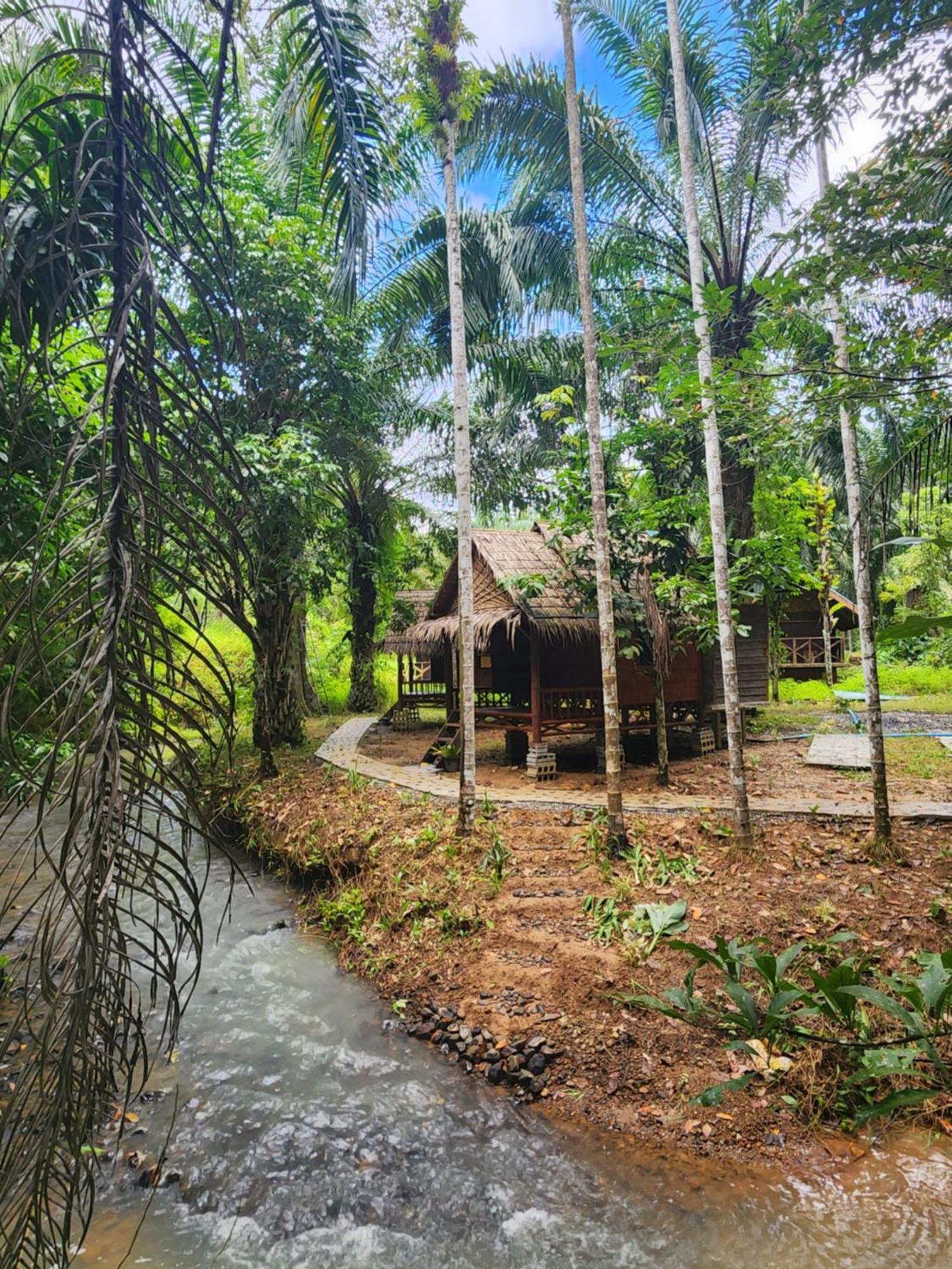 Khao Sok Silver Cliff Resort Khao Sok National Park Kamer foto