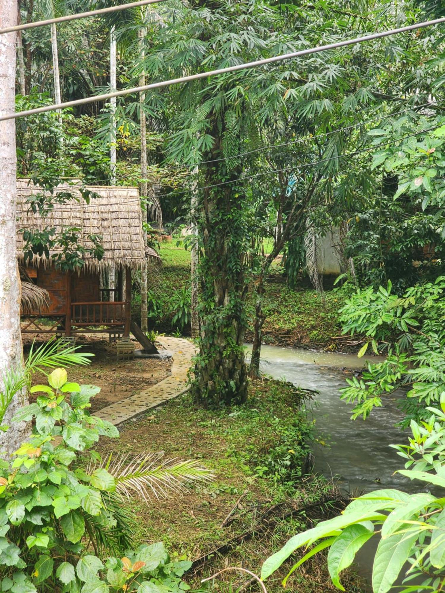 Khao Sok Silver Cliff Resort Khao Sok National Park Kamer foto