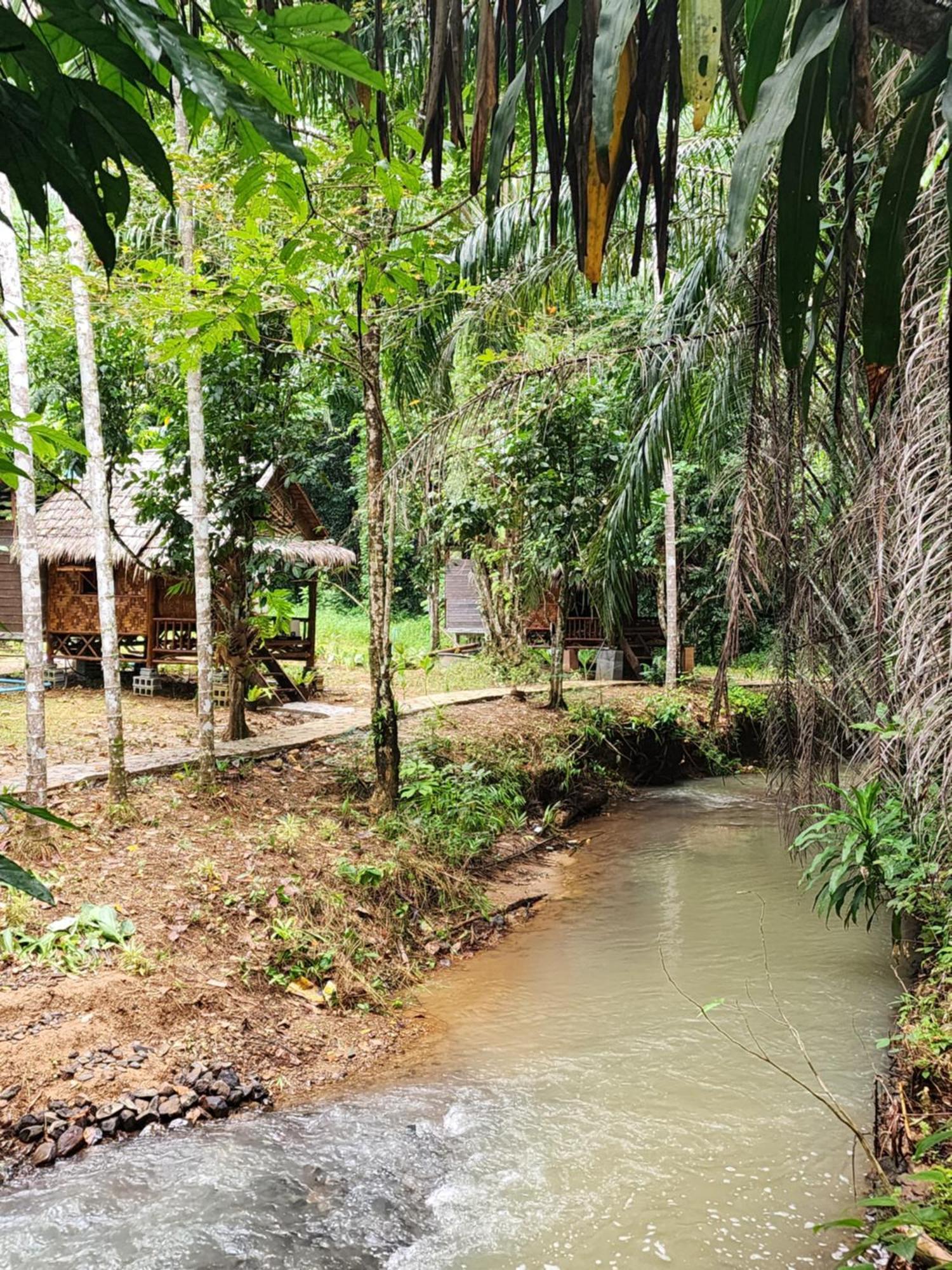 Khao Sok Silver Cliff Resort Khao Sok National Park Kamer foto