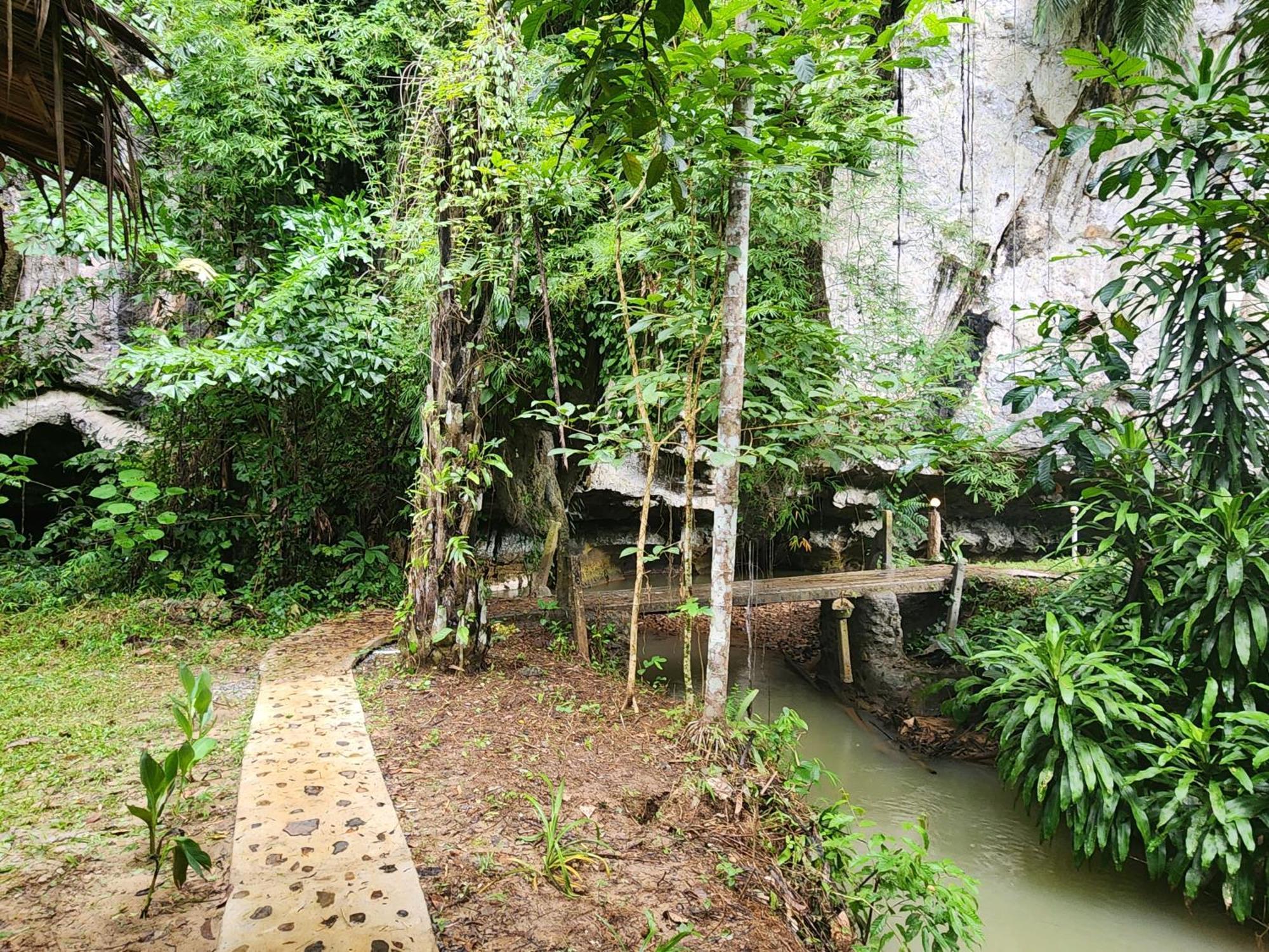 Khao Sok Silver Cliff Resort Khao Sok National Park Kamer foto
