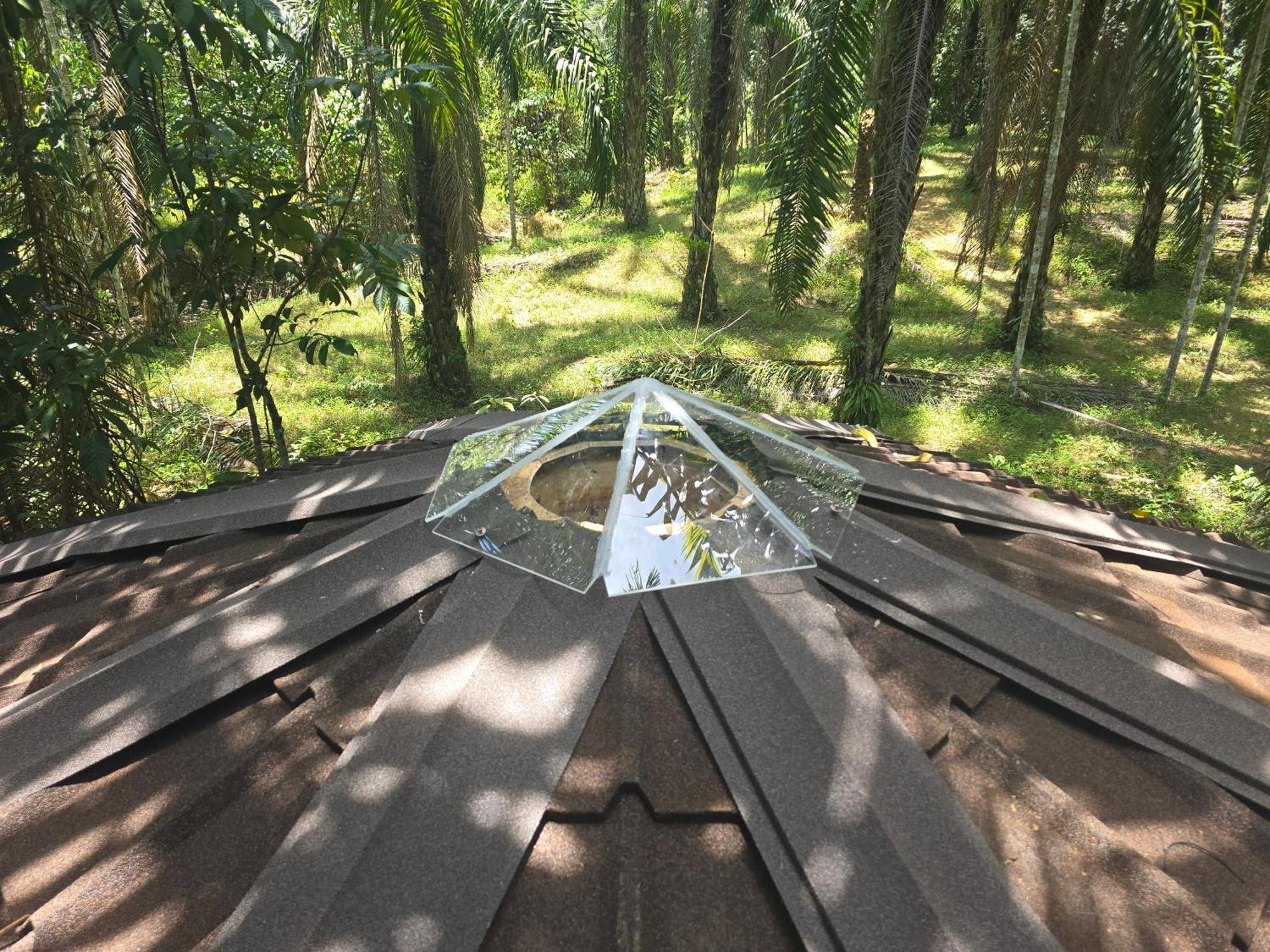 Khao Sok Silver Cliff Resort Khao Sok National Park Buitenkant foto